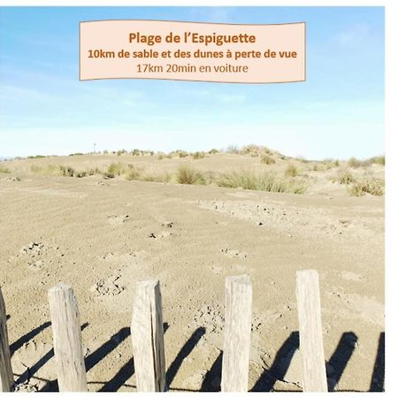 לה גרנד מוט Suite Thalassa 1Ere Ligne Plages Du Couchant Wifi - Rossiconciergerie - Linge Inclus מראה חיצוני תמונה