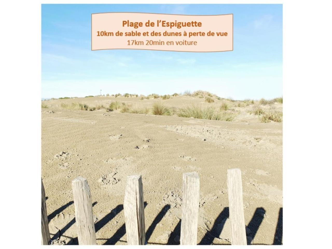 לה גרנד מוט Suite Thalassa 1Ere Ligne Plages Du Couchant Wifi - Rossiconciergerie - Linge Inclus מראה חיצוני תמונה